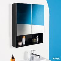 2 Mirror Door Wall Cabinet